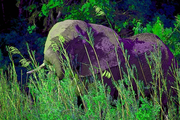 Африканський Поп Арт Слона — стокове фото