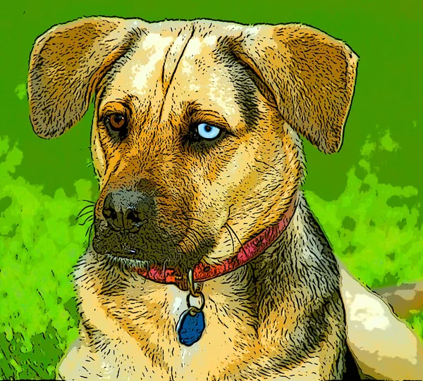 Dog Sign Illustration Pop Art Background Icon Color Spots — Stock fotografie