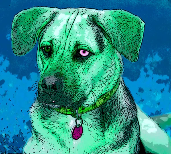 Dog Sign Illustration Pop Art Background Icon Color Spots — Stock Photo, Image
