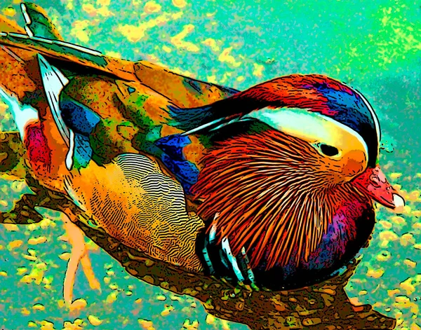 Mandarin duck is a perching duck species native to the East Palearctic sign illustration pop-art background icon with color spots