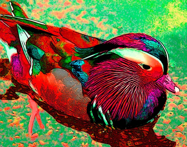 Mandarin duck is a perching duck species native to the East Palearctic sign illustration pop-art background icon with color spots