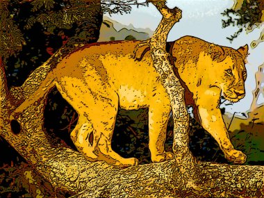Female lion is one of the four big cats in the genus Panthera, and a member of the family Felidae. Illustration pop-art background icon with color spots