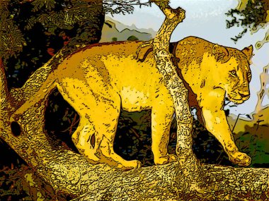 Female lion is one of the four big cats in the genus Panthera, and a member of the family Felidae. Illustration pop-art background icon with color spots