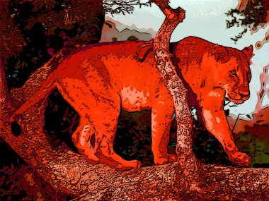 Female lion is one of the four big cats in the genus Panthera, and a member of the family Felidae. Illustration pop-art background icon with color spots