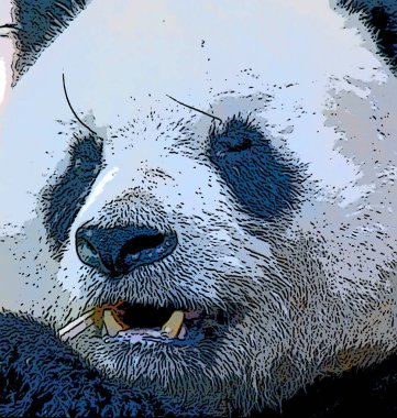 Şirin panda çizimi pop-art