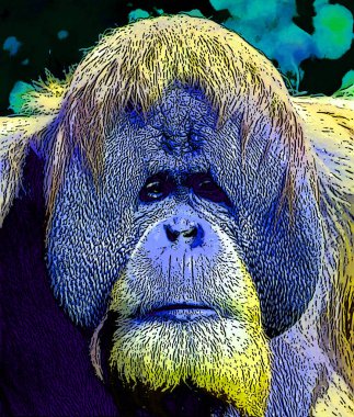 Orangutanlar canlı renk beneklerine sahip pop-art arkaplan simgesini imzaladılar