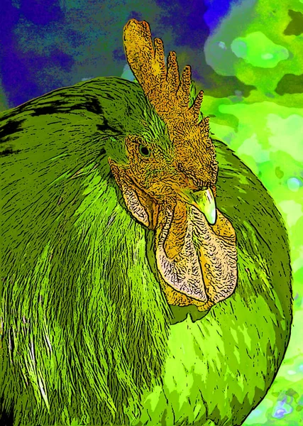 Rooster Illustration Pop Art Background — Stock Photo, Image