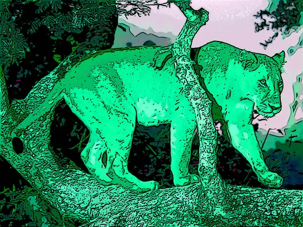 Female lion is one of the four big cats in the genus Panthera, and a member of the family Felidae. Illustration pop-art background icon with color spots