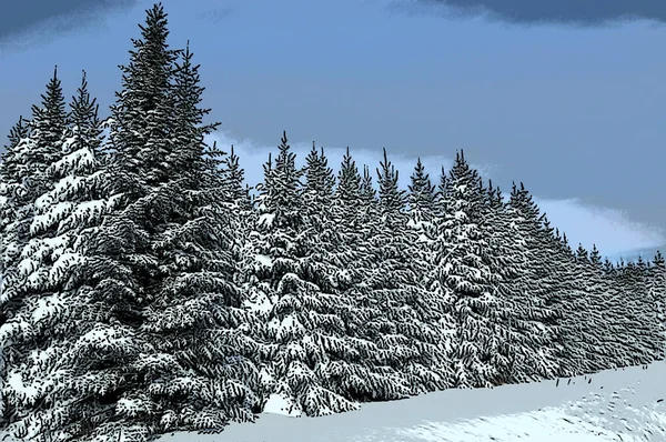 Hermoso Paisaje Invierno Con Árboles Cubiertos Nieve — Foto de Stock