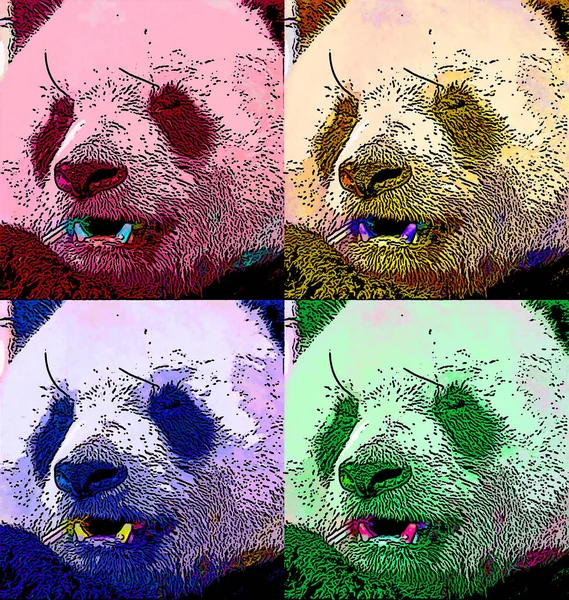 Cute Panda Illustration Pop Art — 图库照片