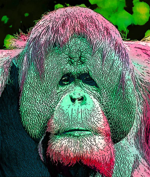 Орангутанги Подписывают Иллюстрацию Иконка Поп Арта Яркими Цветовыми Пятнами — стоковое фото