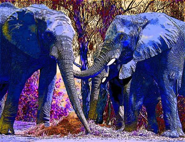 african elephants  pop-art background