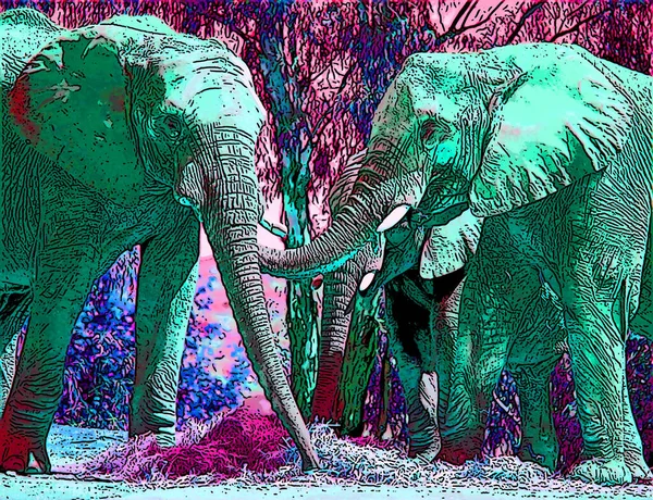 African Elephants Pop Art Background — Fotografia de Stock