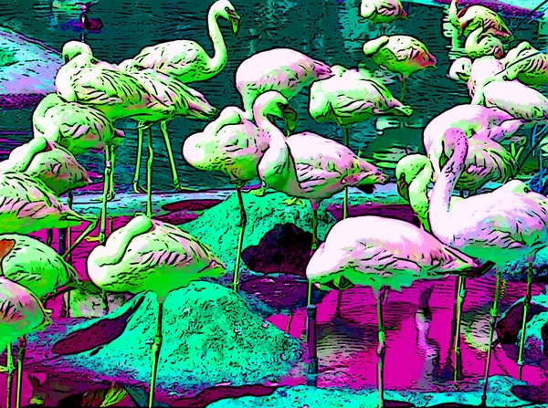 Flamingos sign illustration pop-art background icon with vivid color spots