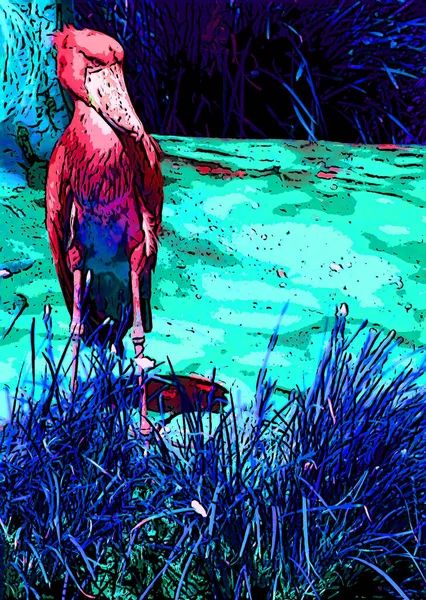 Shoebill Storks Sign Illustration Pop Art Background Icon Vivid Color — Fotografia de Stock