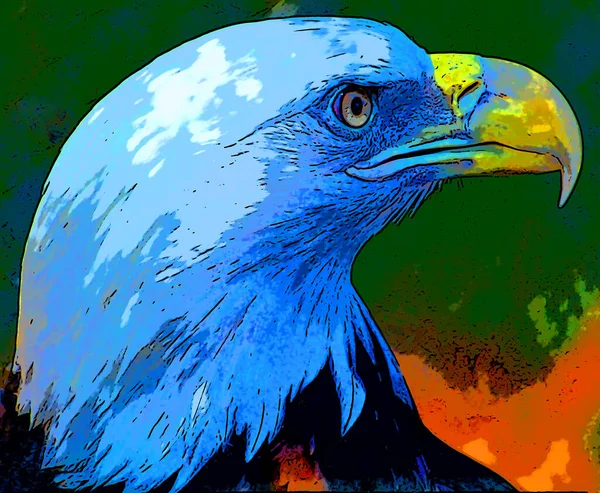 American Bald Eagle Sign Illustration Pop Art Background Icon Vivid — Stok fotoğraf