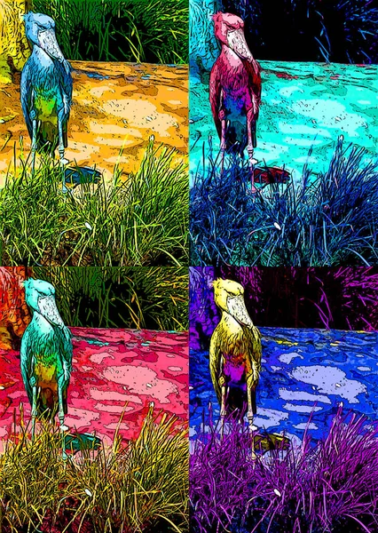 Shoebill Storks Sign Illustration Pop Art Background Icon Vivid Color — ストック写真