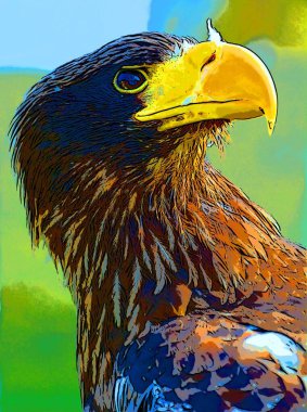 White-tailed eagle or ern, erne, gray eagle sign illustration pop-art background icon with vivid color spots