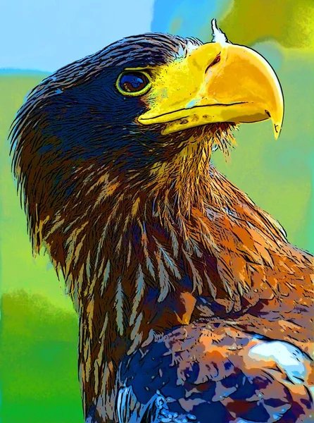 White Tailed Eagle Ern Erne Gray Eagle Sign Illustration Pop — Fotografia de Stock