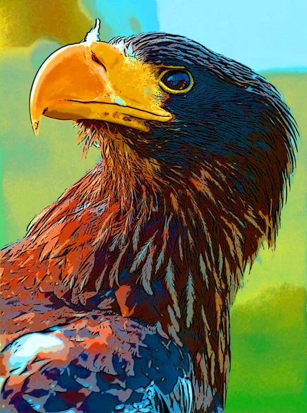 White Tailed Eagle Ern Erne Gray Eagle Sign Illustration Pop — Stock Fotó
