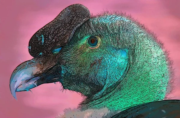 Vulture Scavenging Birds Sign Illustration Pop Art Background Icon Color — 스톡 사진
