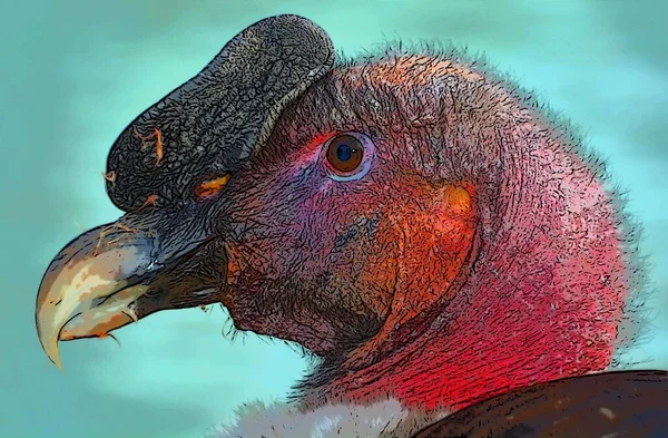 Vulture Scavenging Birds Sign Illustration Pop Art Background Icon Color — 스톡 사진