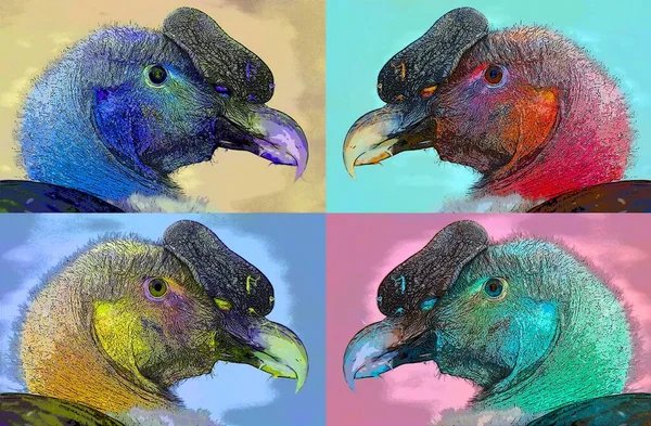 Vulture Scavenging Birds Sign Illustration Pop Art Background Icon Color — Zdjęcie stockowe