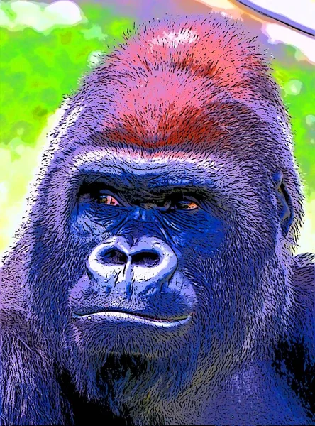 Gorilla Segno Illustrazione Pop Art Sfondo Icona — Foto Stock