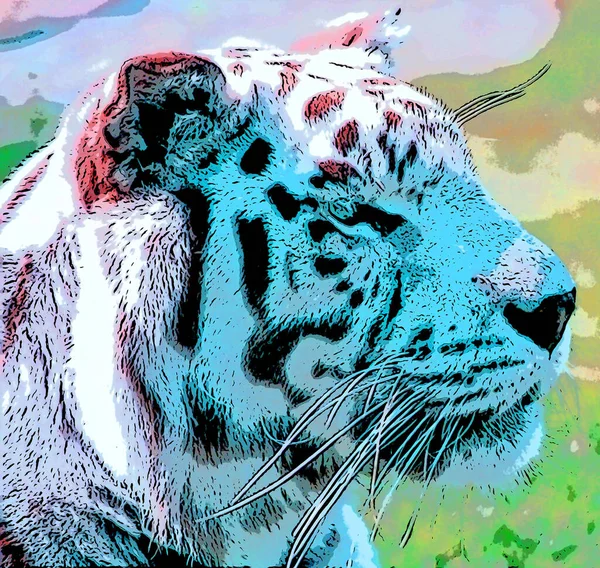 Tiger Illustration Pop Art Background — Stock Photo, Image