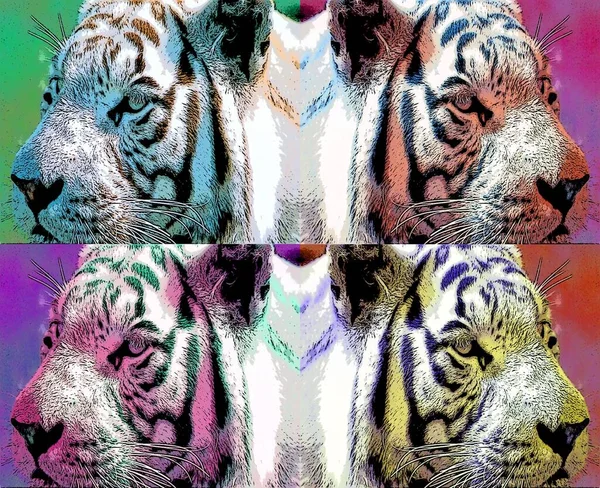 Tiger Illustration Pop Art Background — Foto Stock