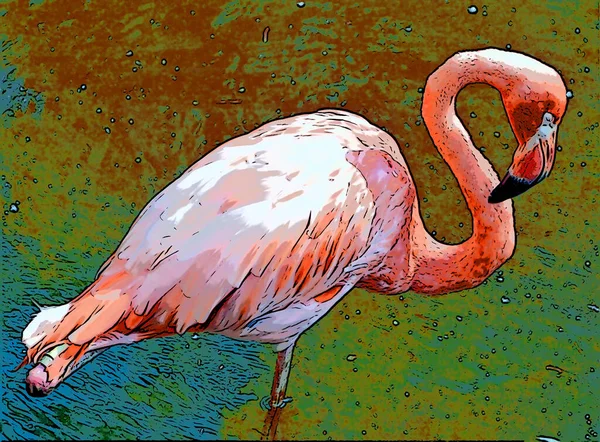Flamingo Pták Ilustrace Pop Art Pozadí — Stock fotografie