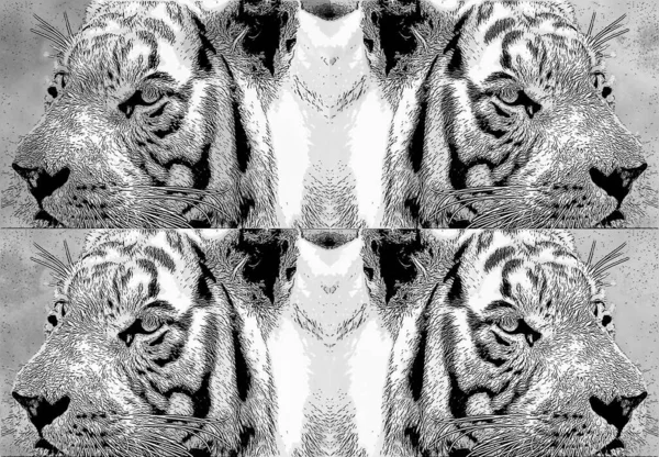 Tiger Illustration Pop Art Background — 图库照片