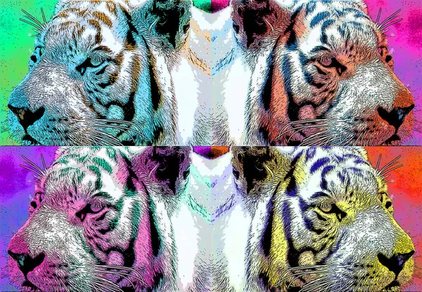 Tigris Illusztráció Pop Art Háttér — Stock Fotó