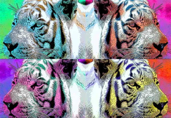 Tiger Illustration Pop Art Background — ストック写真