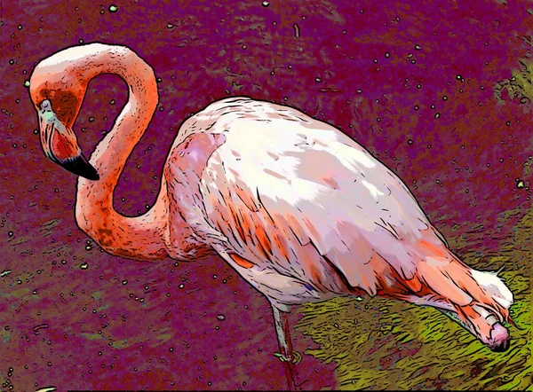 Flamingo Bird Illustration Pop Art Background — стоковое фото