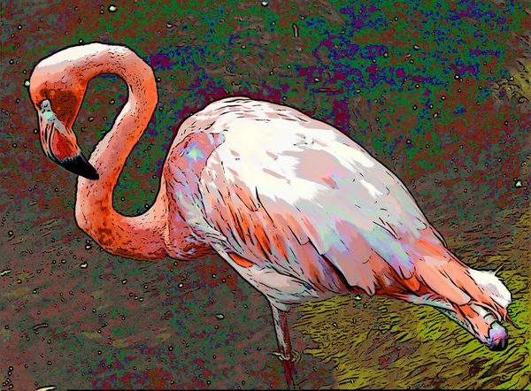Flamingo Bird Illustration Pop Art Background — стоковое фото