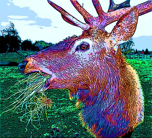 Deer Illustration Pop Art Background — Stock Photo, Image