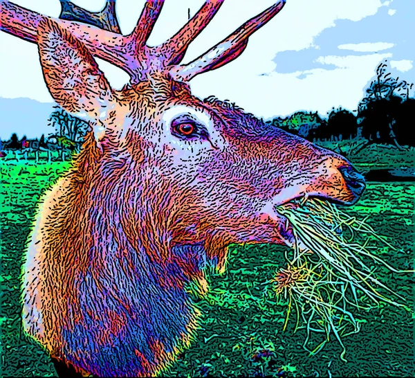 Deer Illustration Pop Art Background — Stock Photo, Image