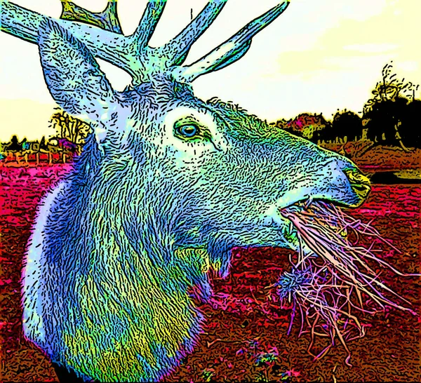 Deer Illustration Pop Art Background — Stock Fotó