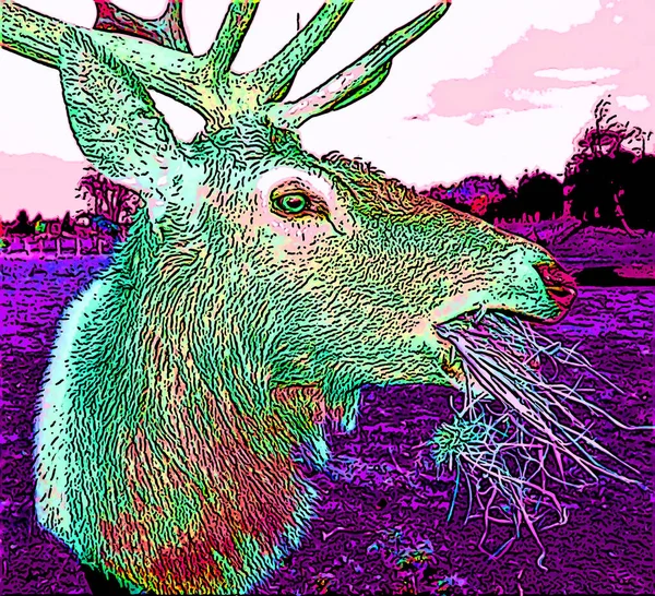 Deer Illustration Pop Art Background — ストック写真