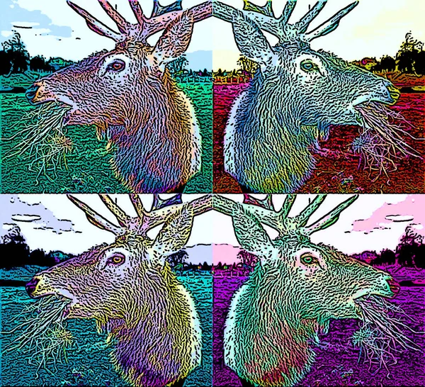 Deer Illustration Pop Art Background — Stock Photo, Image