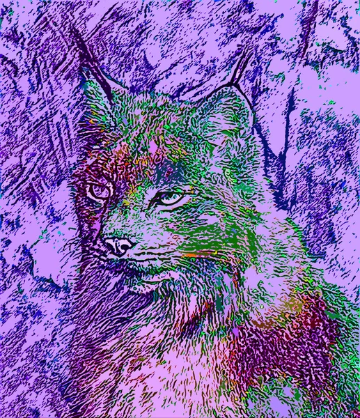 Lynx Signo Ilustración Pop Art Icono Fondo Con Manchas Color —  Fotos de Stock