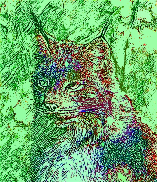 Lynx Znak Ilustracja Pop Art Tło Ikona Kolorowe Plamy — Zdjęcie stockowe
