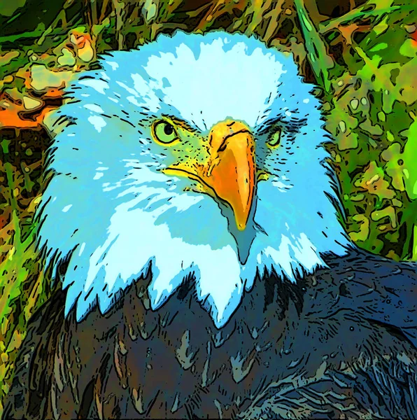 Bald Eagle Illustration Pop Art Background — стоковое фото