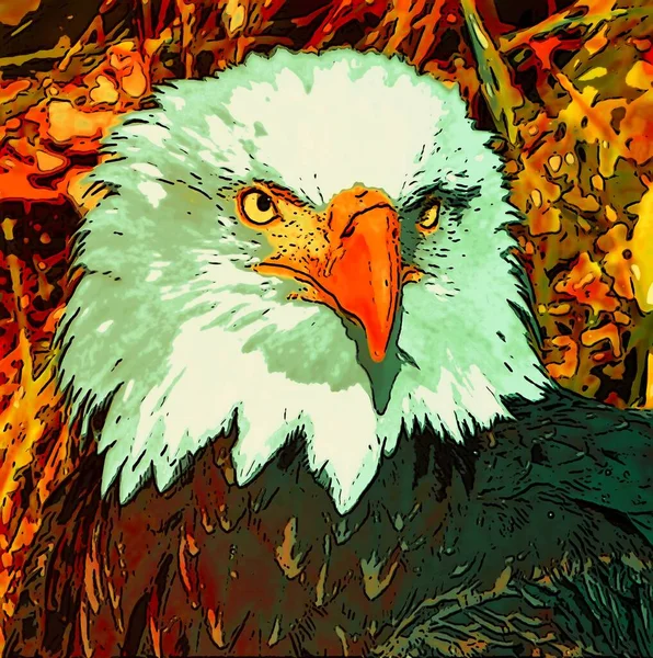 bald eagle illustration pop-art background