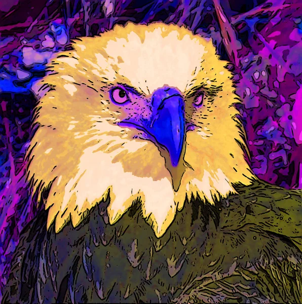 Bald Eagle Illustration Pop Art Background — Stockfoto