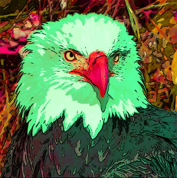 Bald Eagle Illustration Pop Art Background — Stok fotoğraf