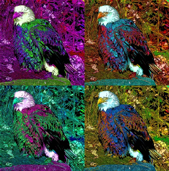 Bald Eagle Illustration Pop Art Background — ストック写真