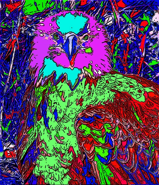 Bald Eagle Illustration Pop Art Background — стоковое фото