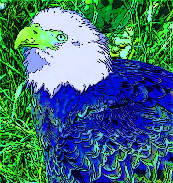 American Bald Eagle Sign Illustration Pop Art Background Icon Vivid — Stock Photo, Image